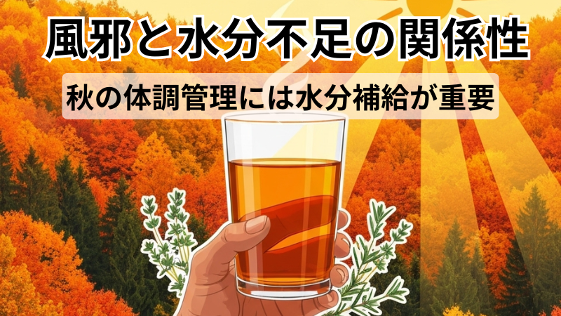 風邪と水分不足の関係性|秋の体調管理には水分補給が重要